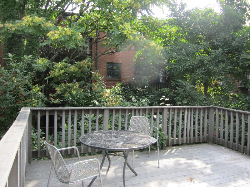 1 bed, 1 bath apartment for rent at 27 Fayette St Unit 2, Back Bay — photo 15 of 16