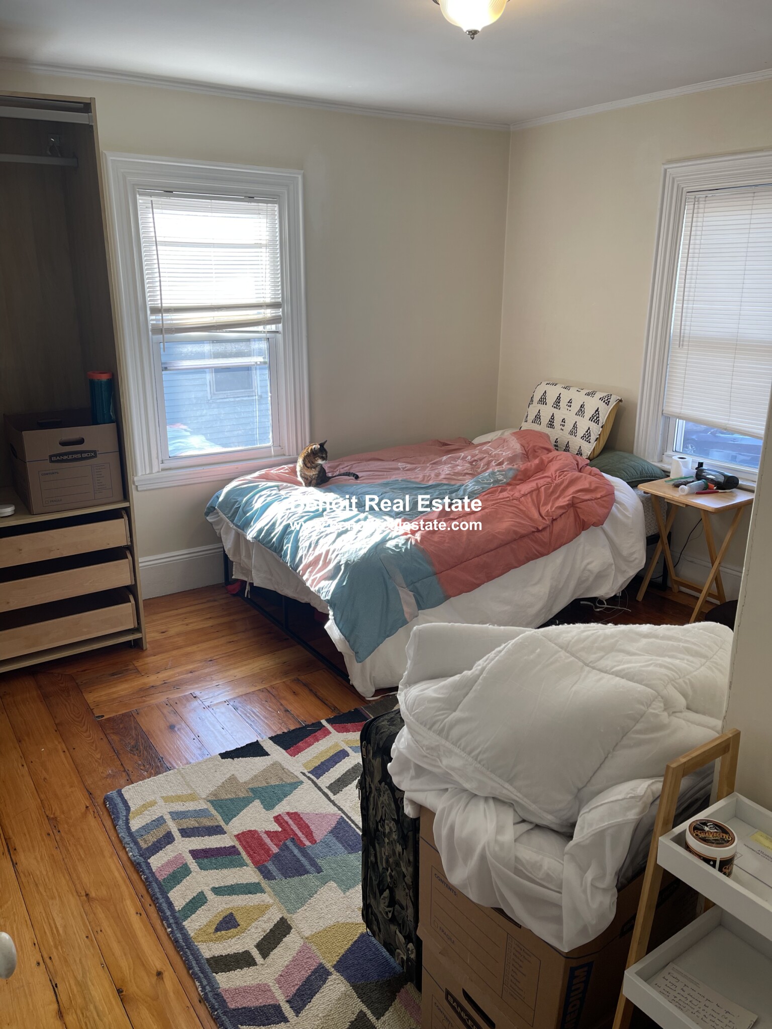 9 Newbury St, Davis Square