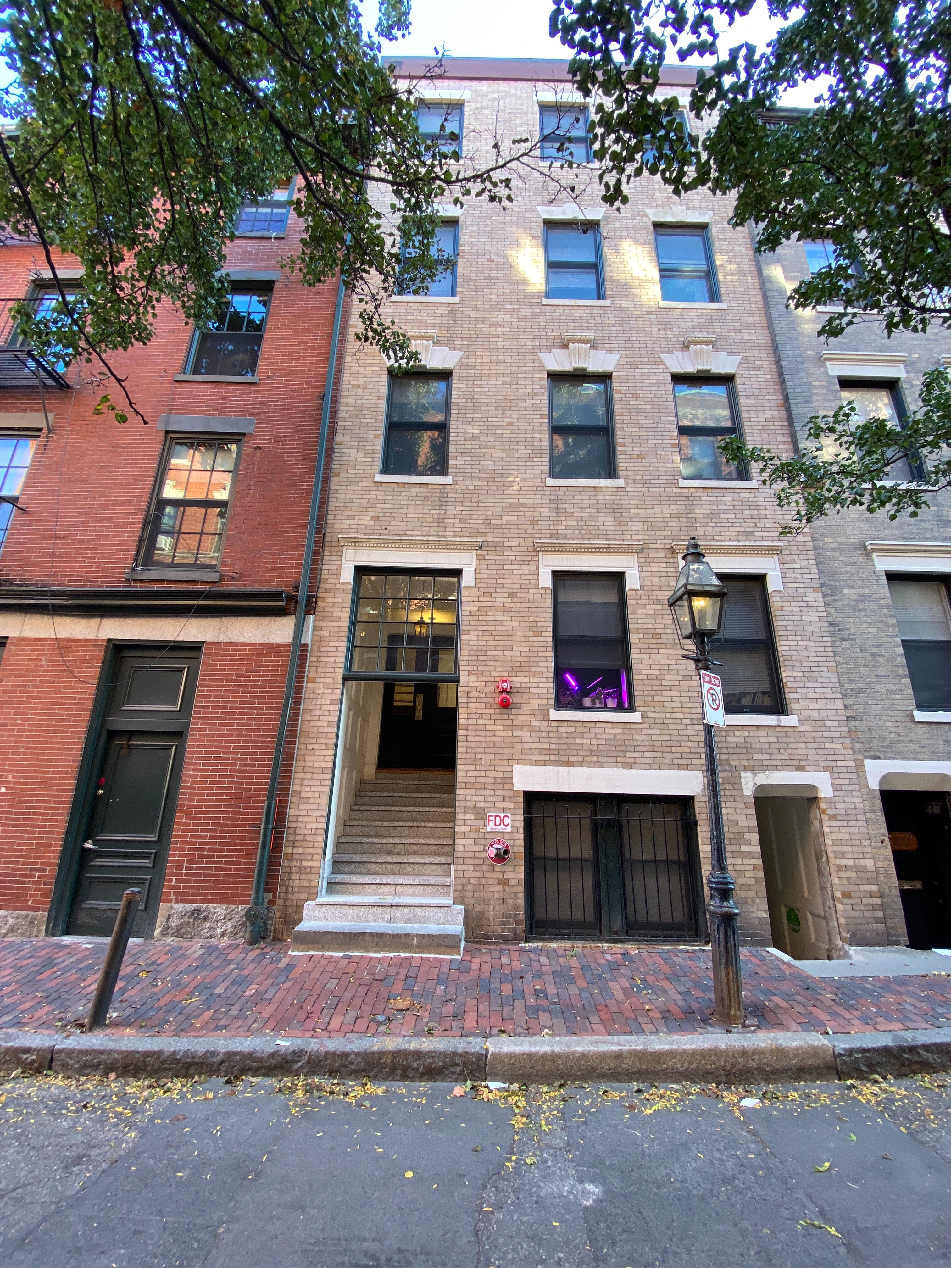 99 Myrtle St, Beacon Hill