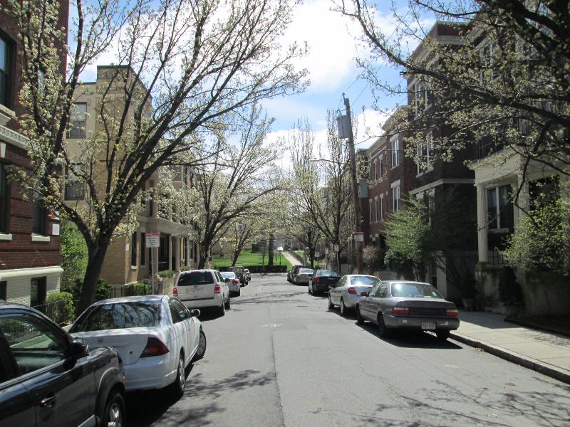 11 Carol Ave, Brighton