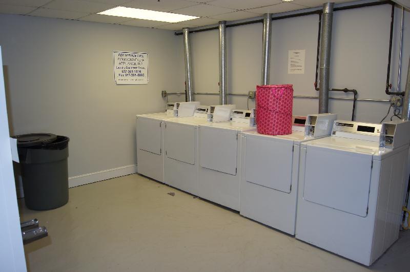 6 Orkney Rd, Brighton