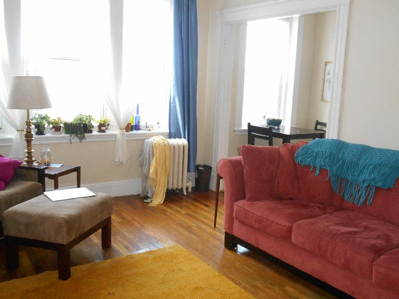 224 Kelton St, Brighton