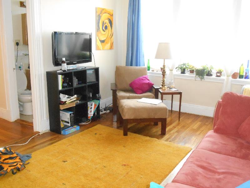 224 Kelton St, Brighton