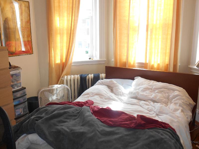 224 Kelton St, Brighton