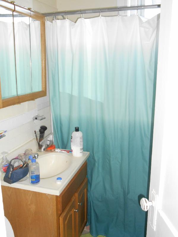 224 Kelton St, Brighton