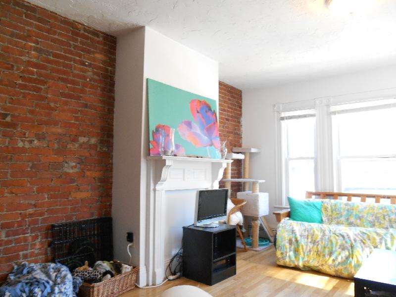 64 Murdock St, Brighton