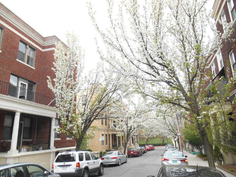 3 Carol Ave, Brighton