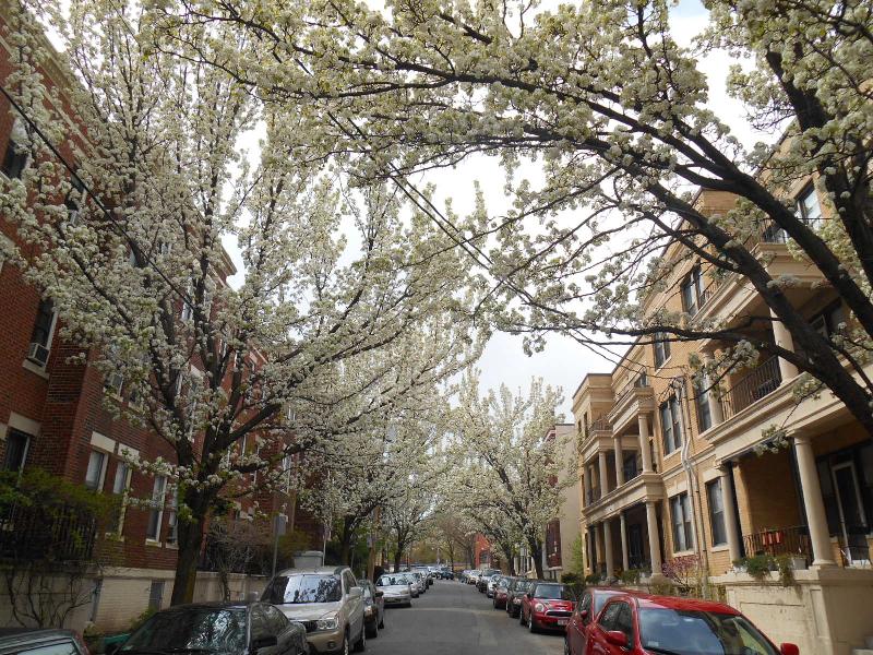 3 Carol Ave, Brighton