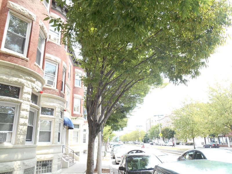 61 Brighton Ave, Allston