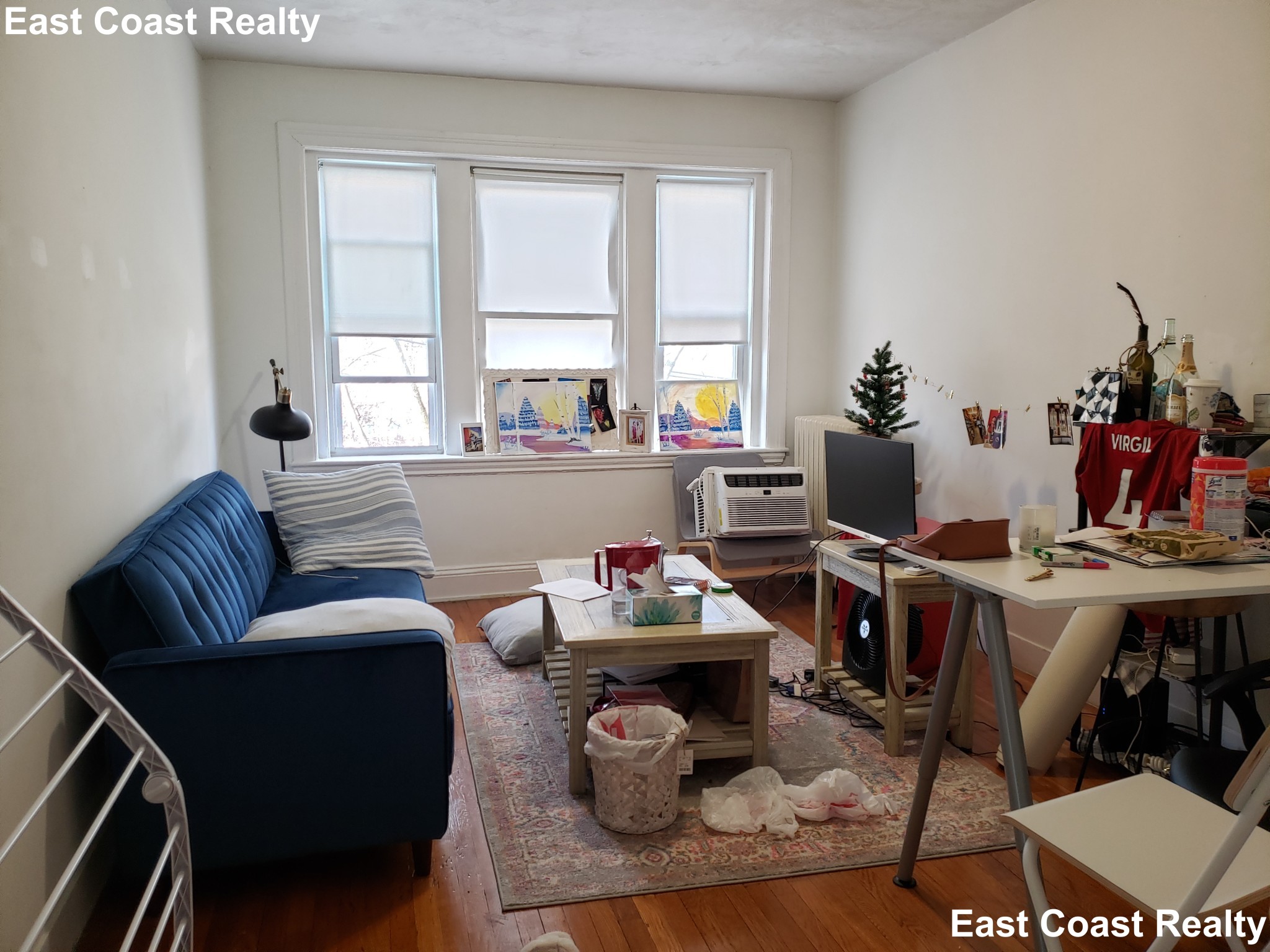 41 Chestnut Hill Ave, Brighton