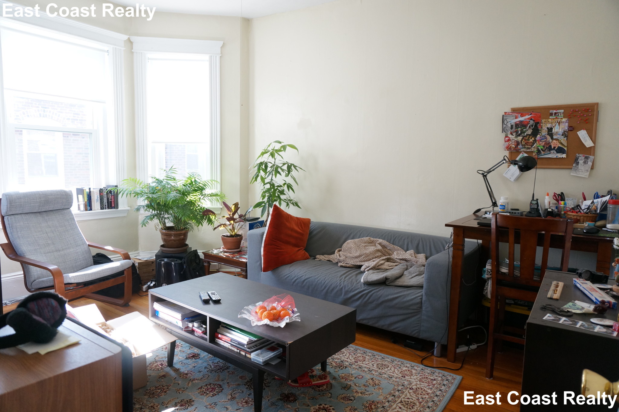 11 Royce Rd, Allston