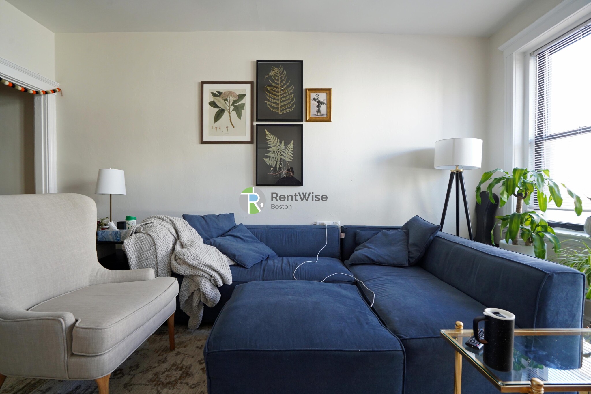 3 Carol Ave, Brighton