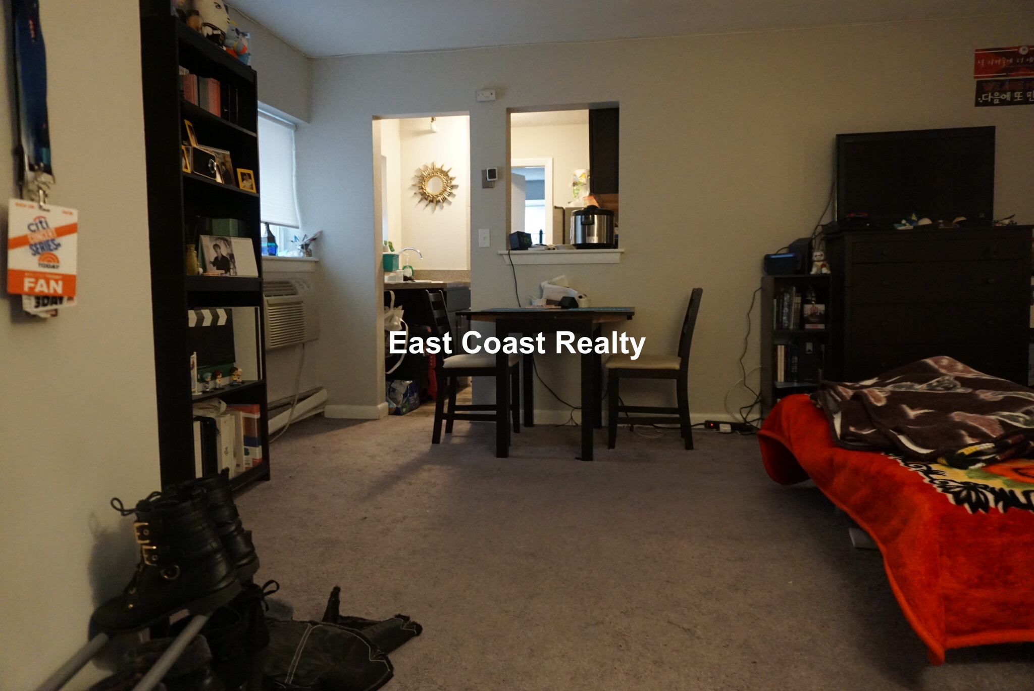 231 Harrison Ave, Chinatown