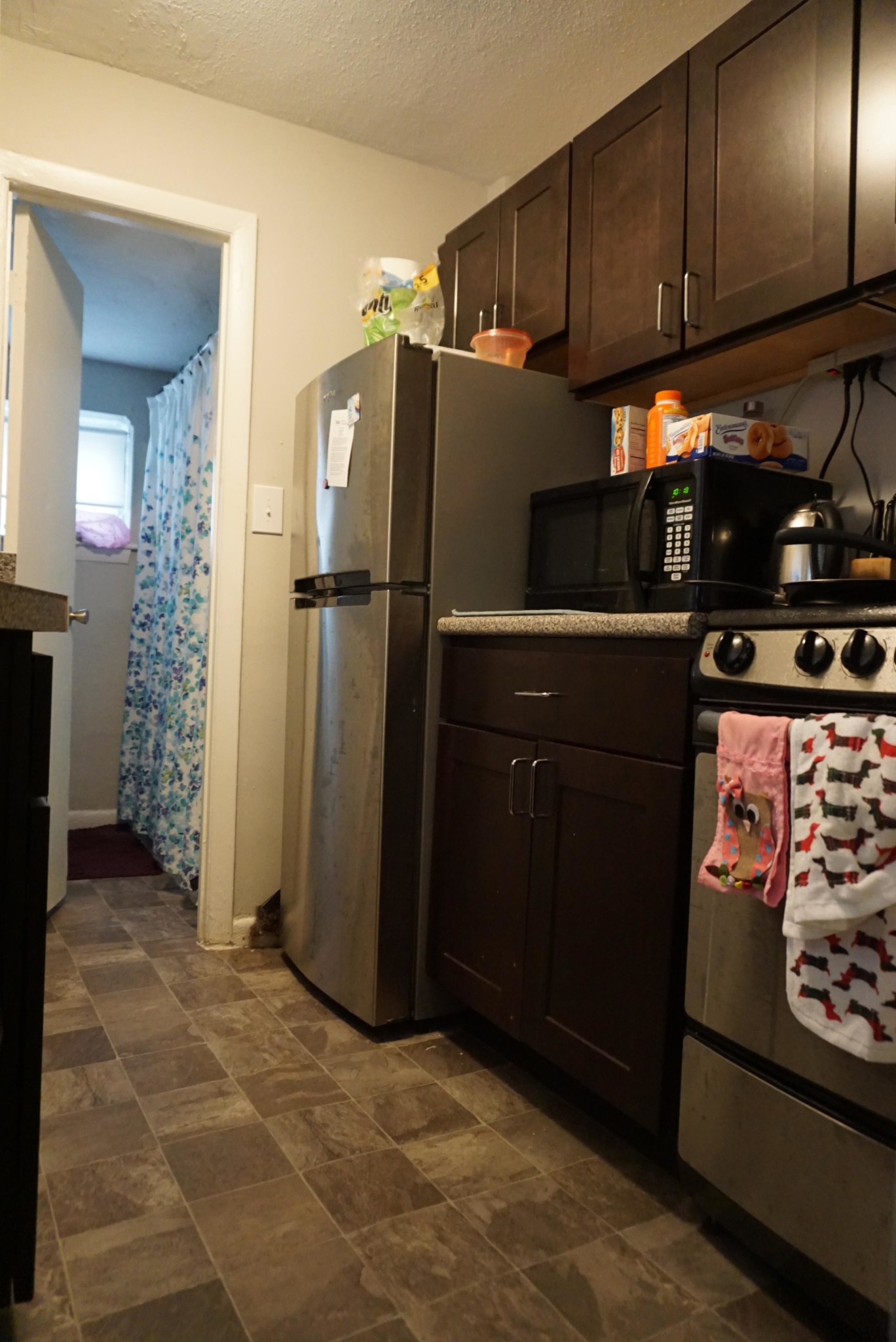 231 Harrison Ave, Chinatown