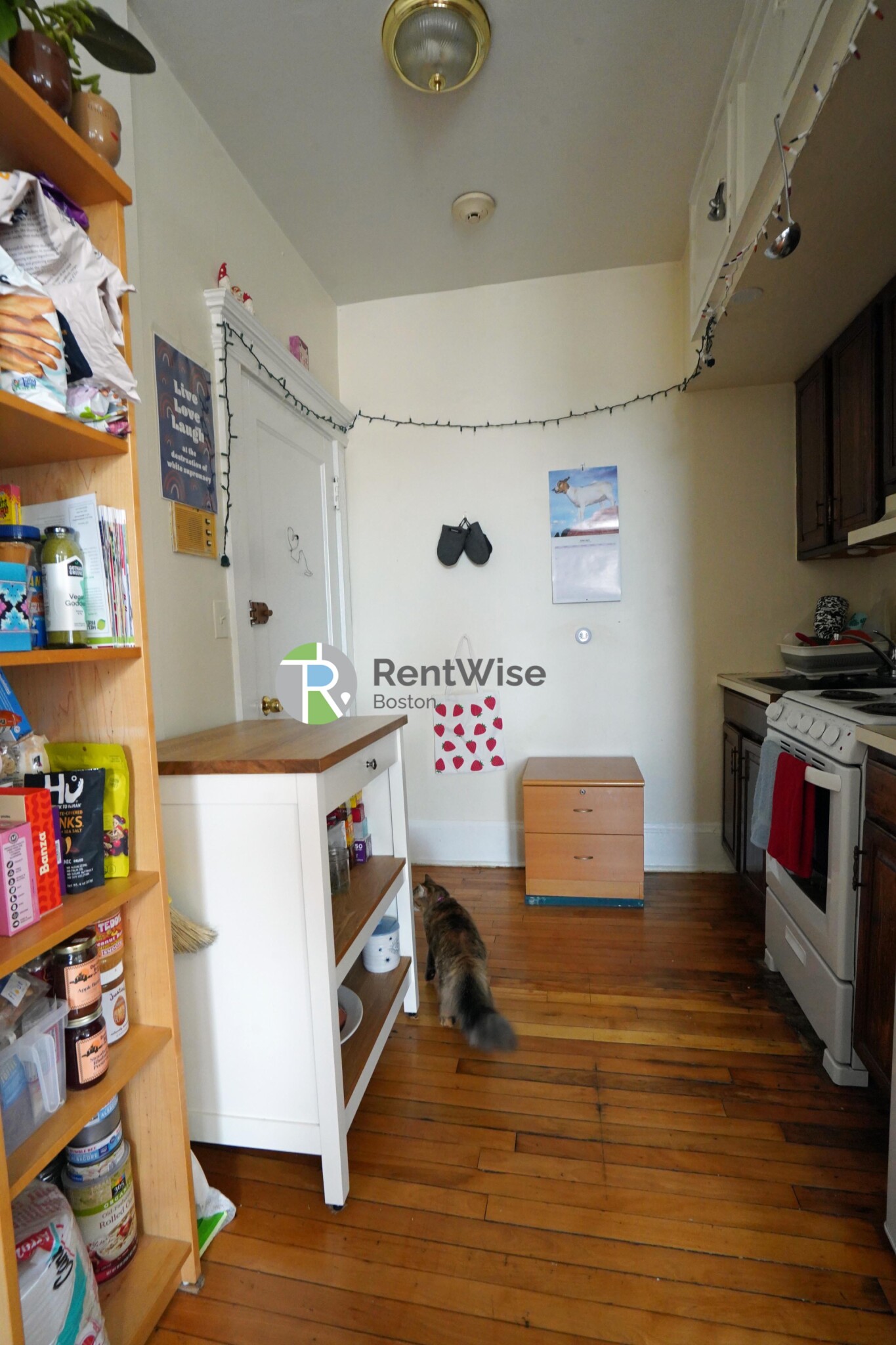 1218 Commonwealth Ave, Brighton