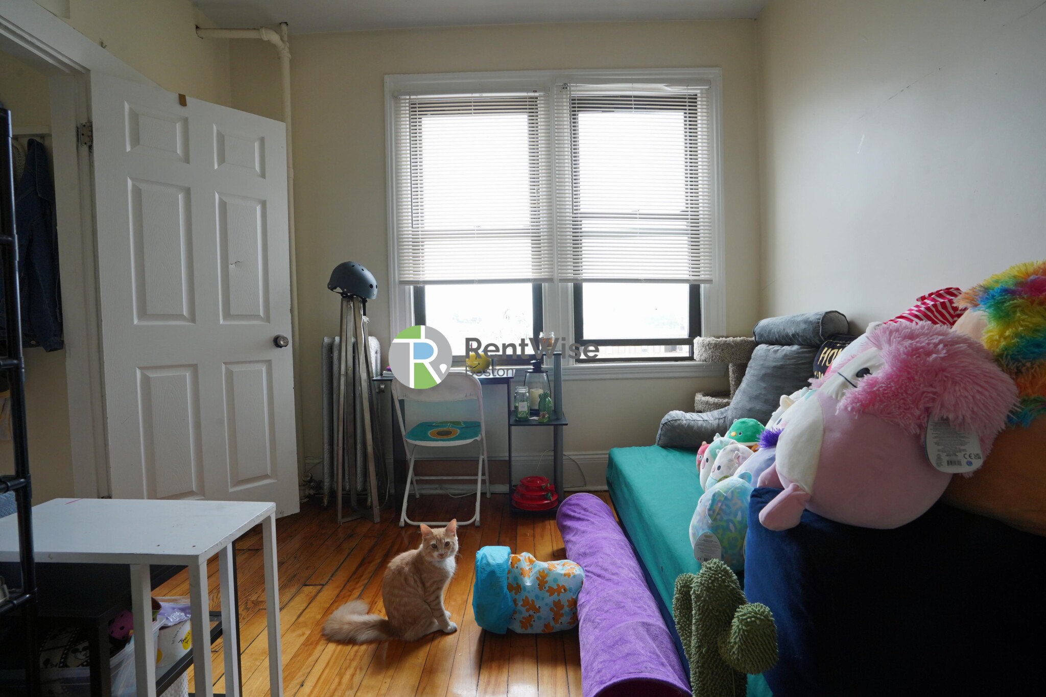 1218 Commonwealth Ave, Brighton