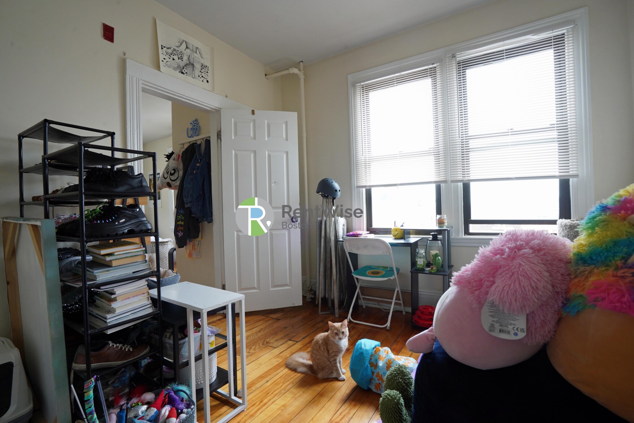 1218 Commonwealth Ave, Brighton