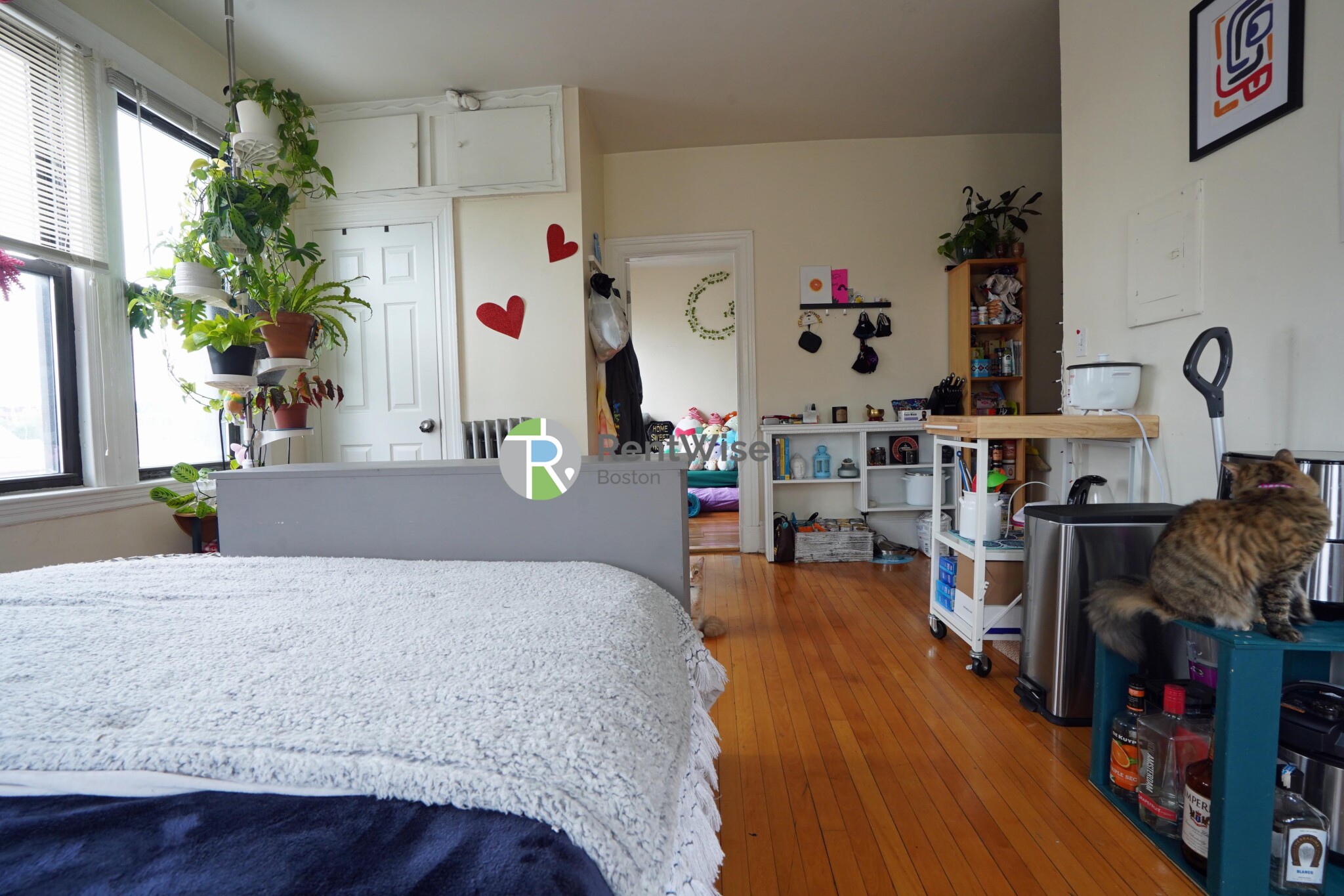 1218 Commonwealth Ave, Brighton