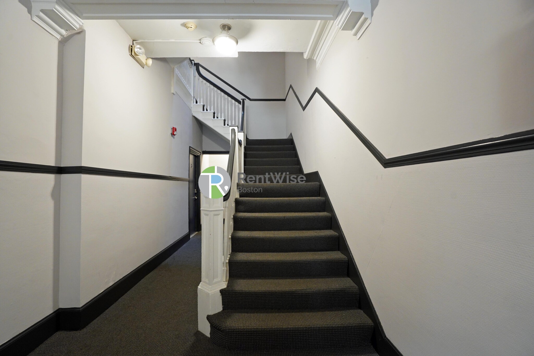 45 Carlton St, Longwood