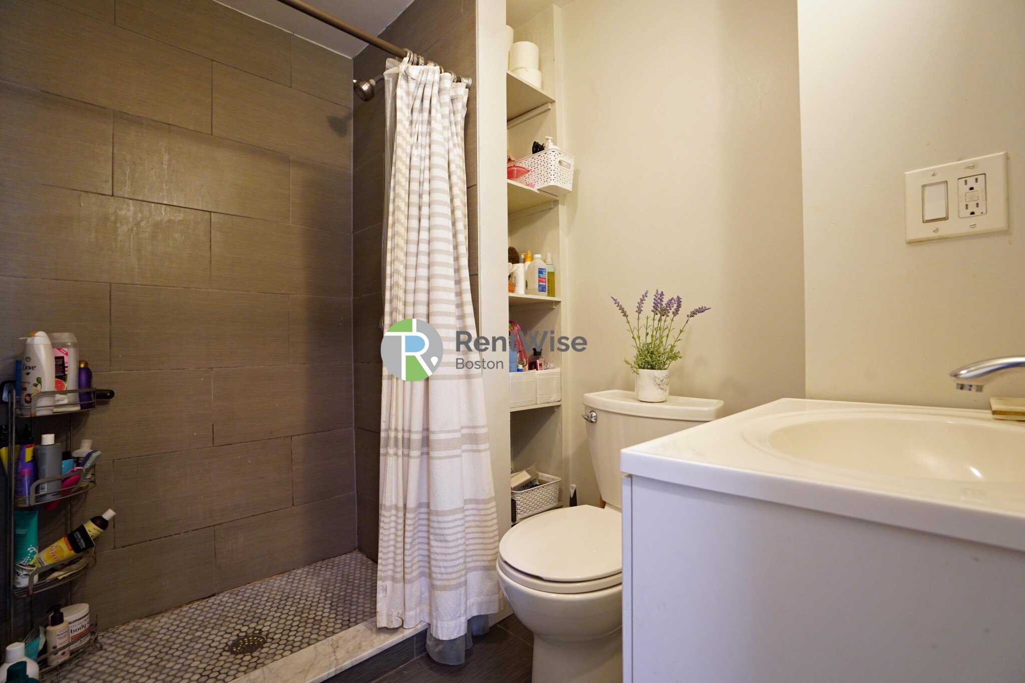 417 Cardinal Medeiros Ave, Wellington-Harrington