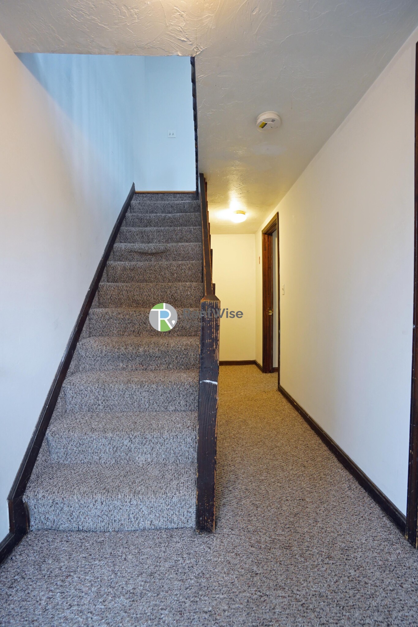 6 Shepard St, Brighton