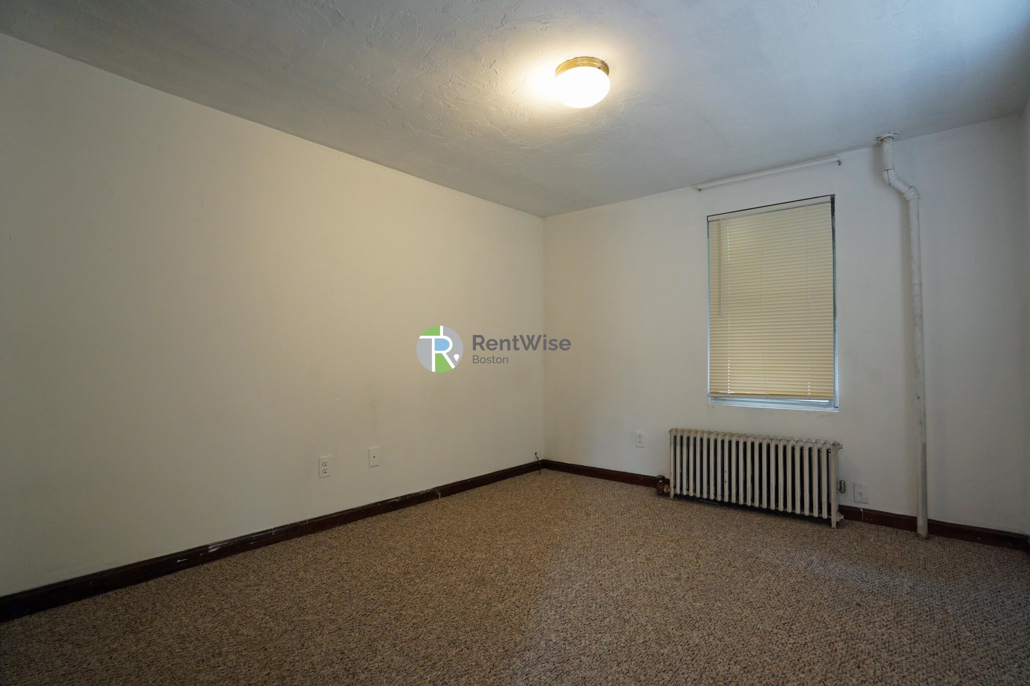 6 Shepard St, Brighton