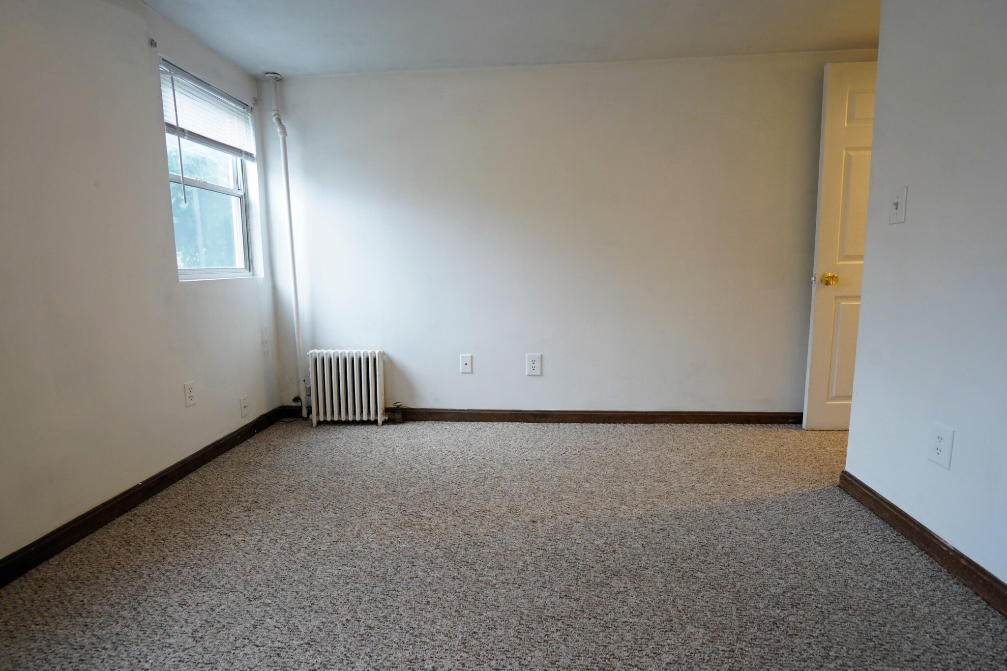 6 Shepard St, Brighton