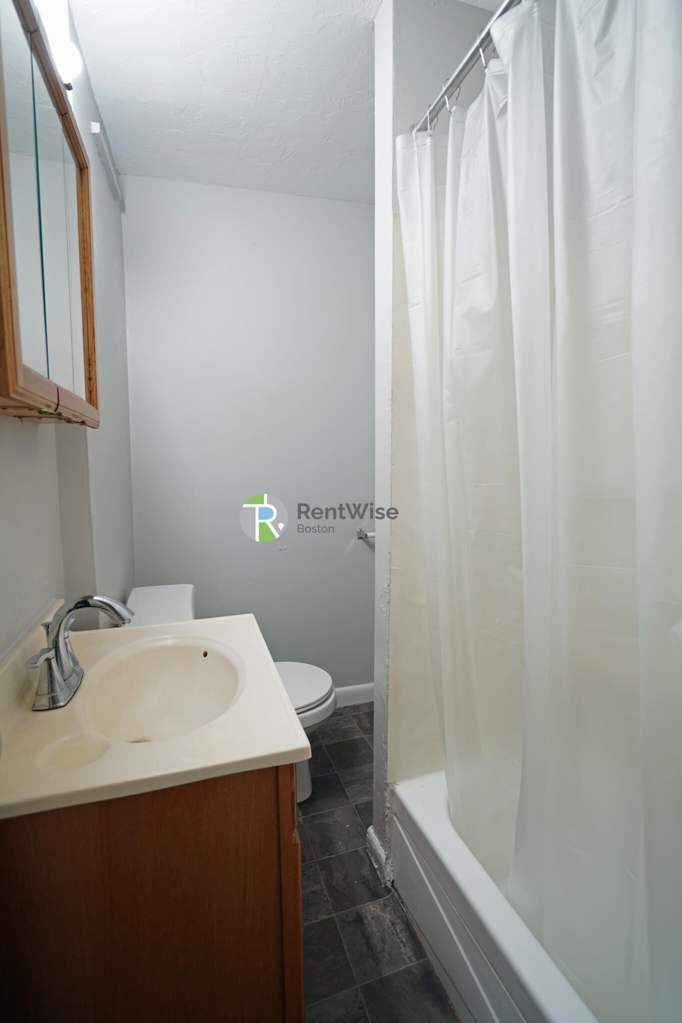 231 Harrison Ave, Chinatown