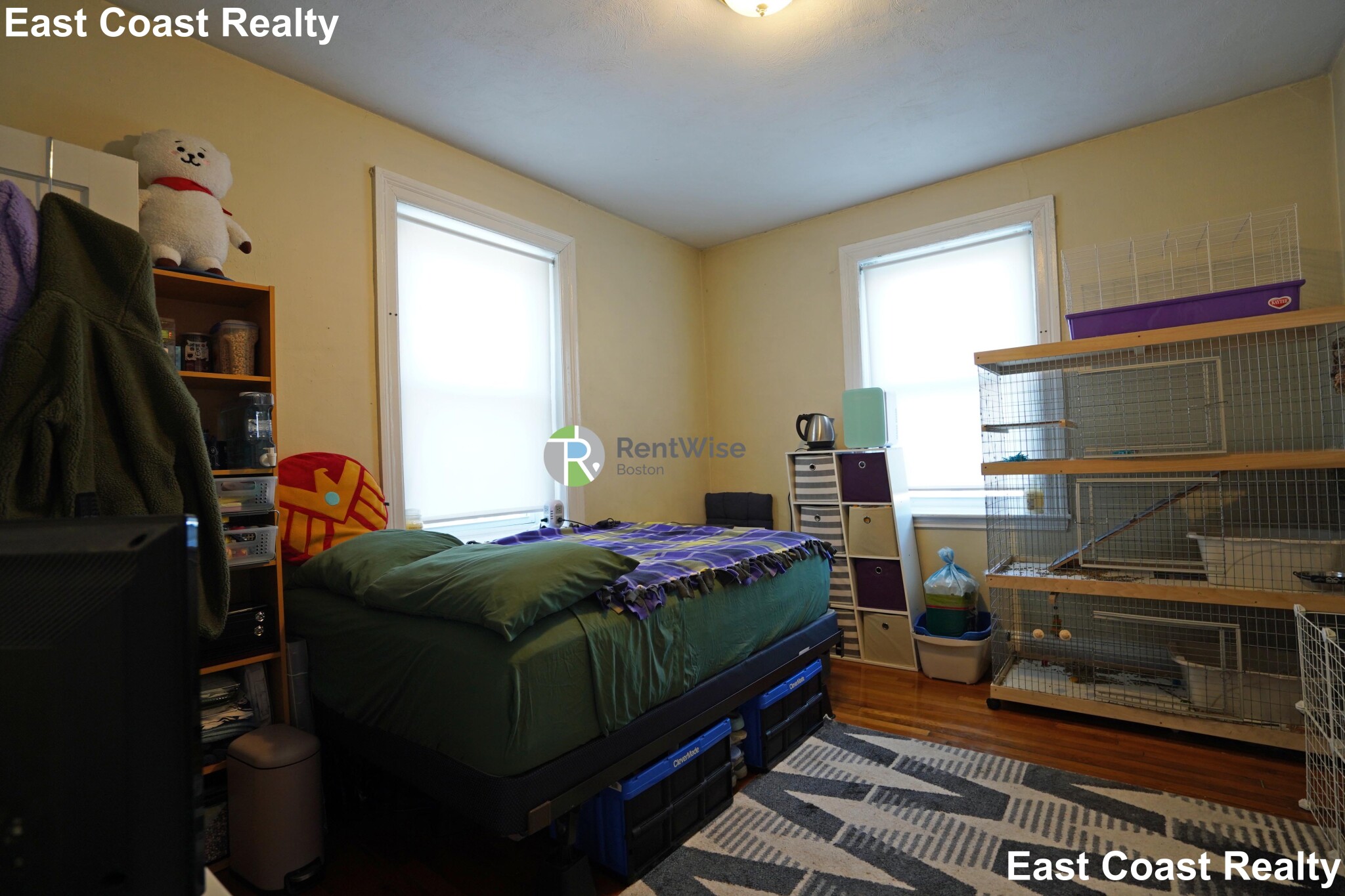 41 Chestnut Hill Ave, Brighton