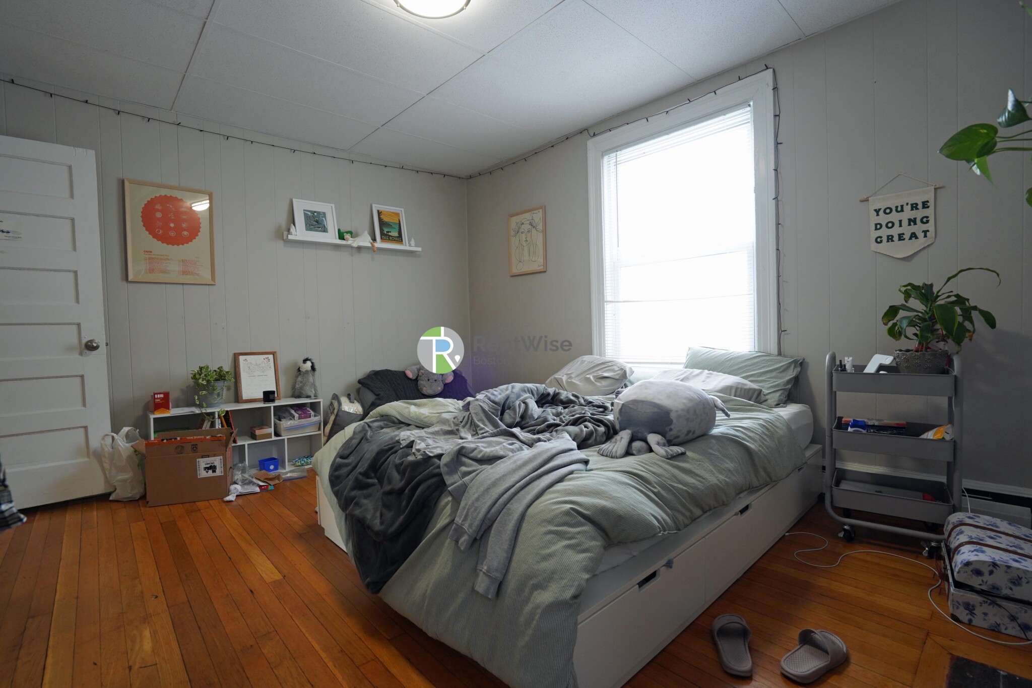 3 Ashford Ct, Allston