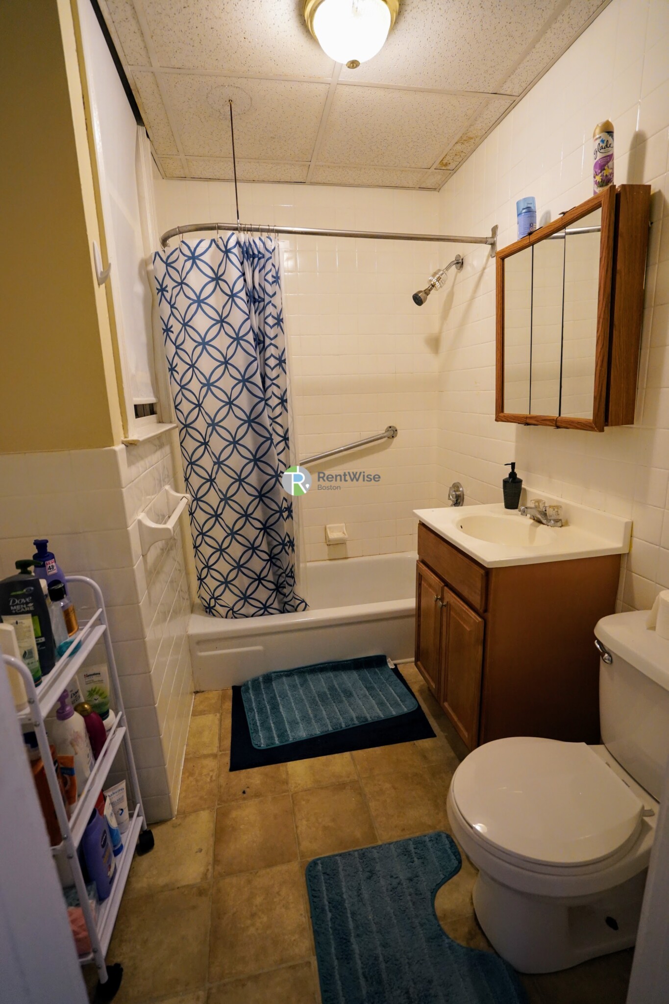 224 South St, Jamaica Plain