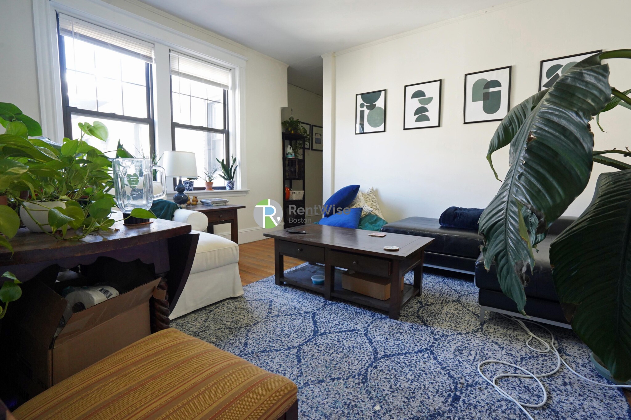 39 Clinton St, Mid-Cambridge