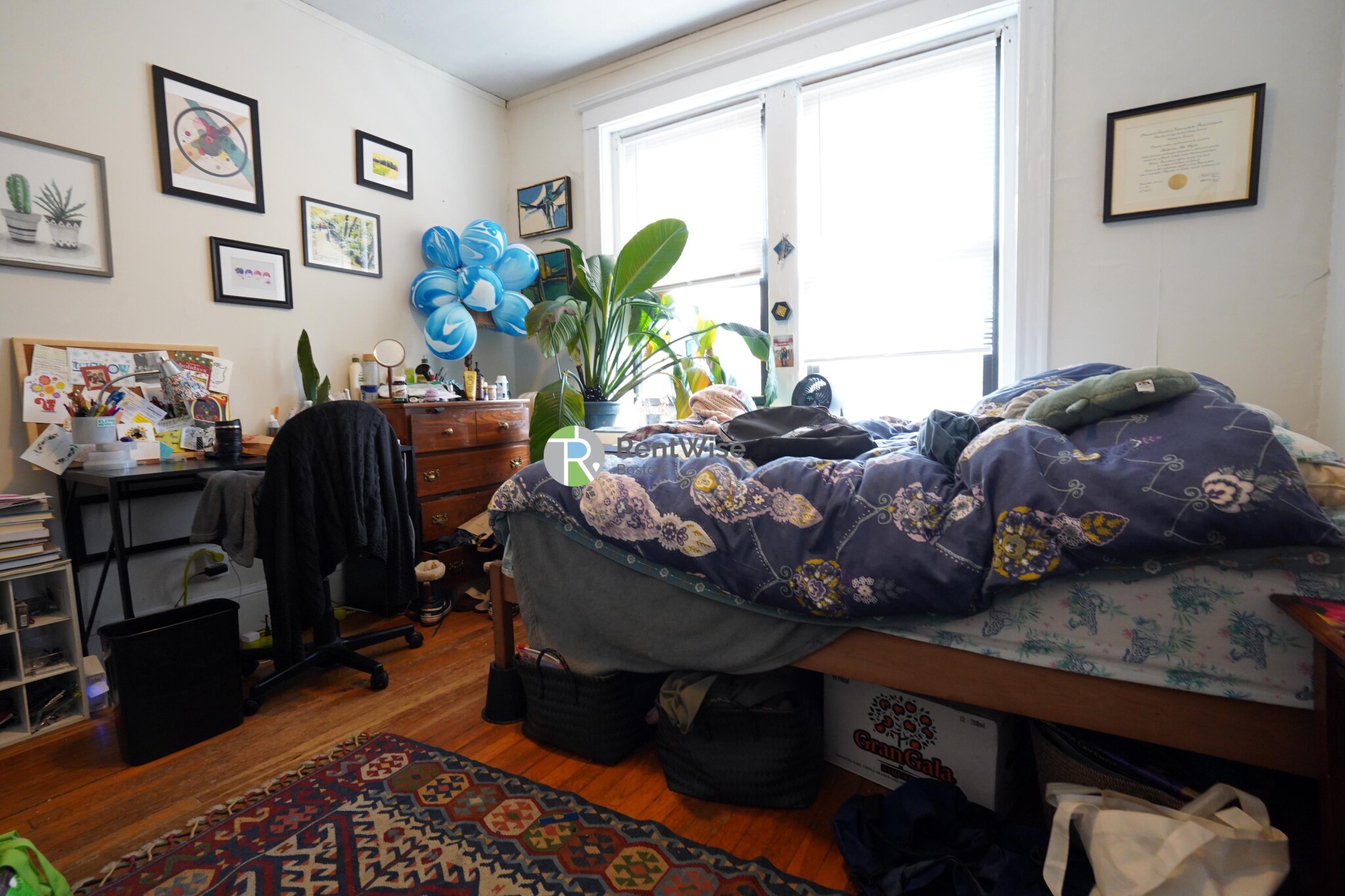 39 Clinton St, Mid-Cambridge