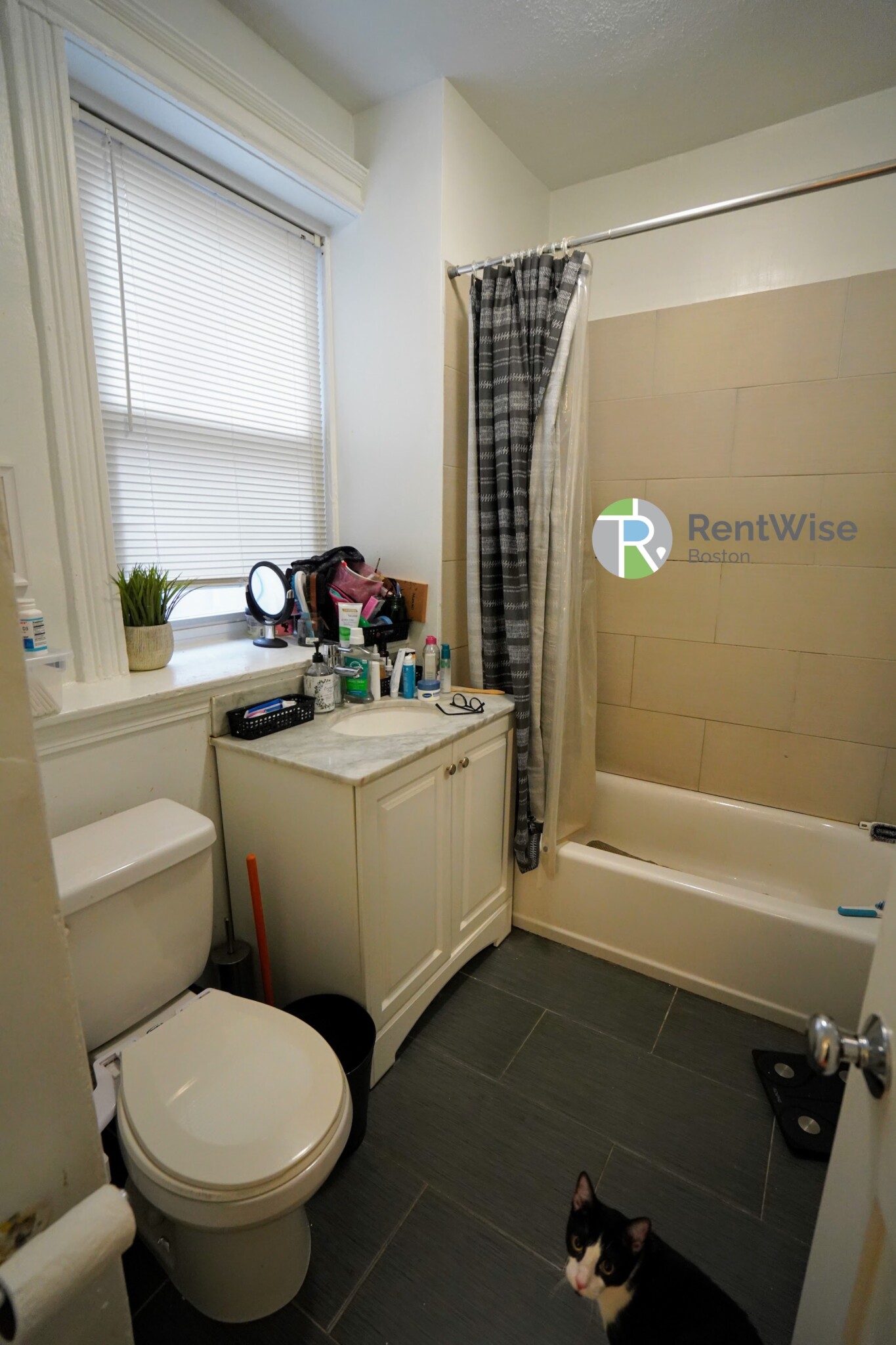 74 Brainerd Rd, Allston