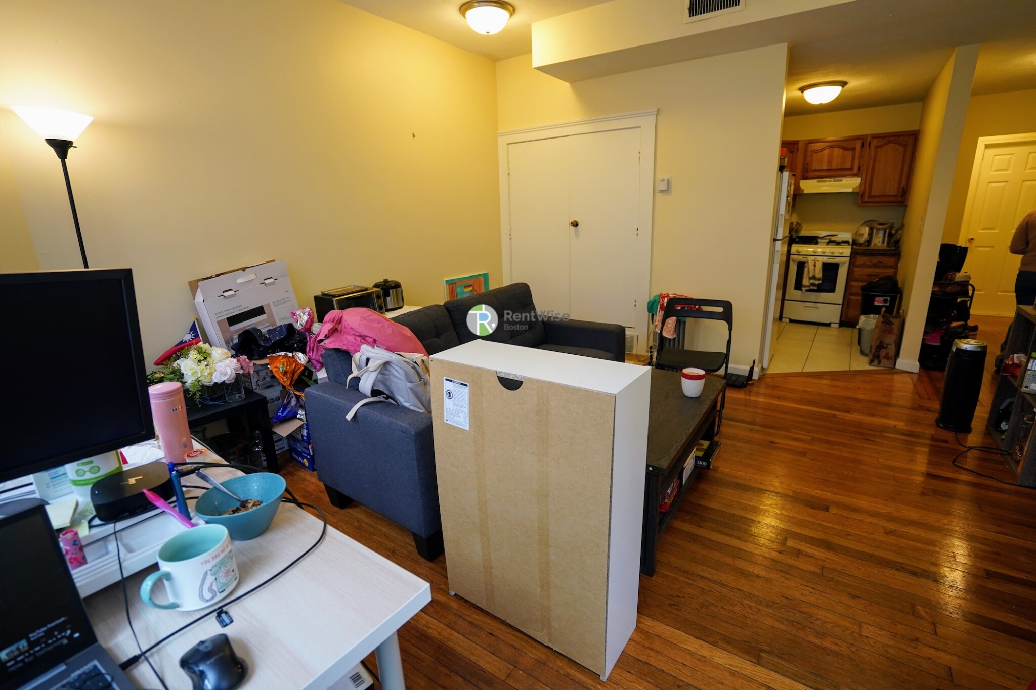 6 Lorraine St, Roslindale