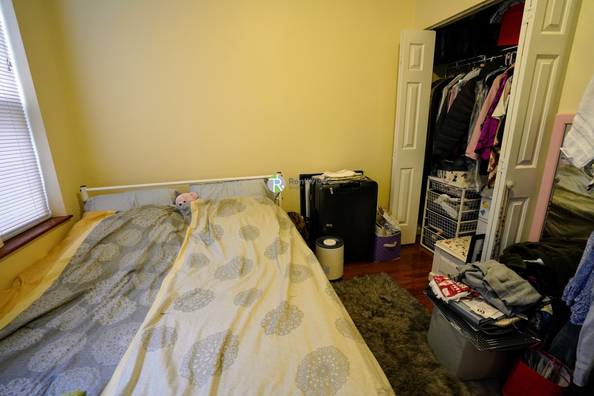 6 Lorraine St, Roslindale