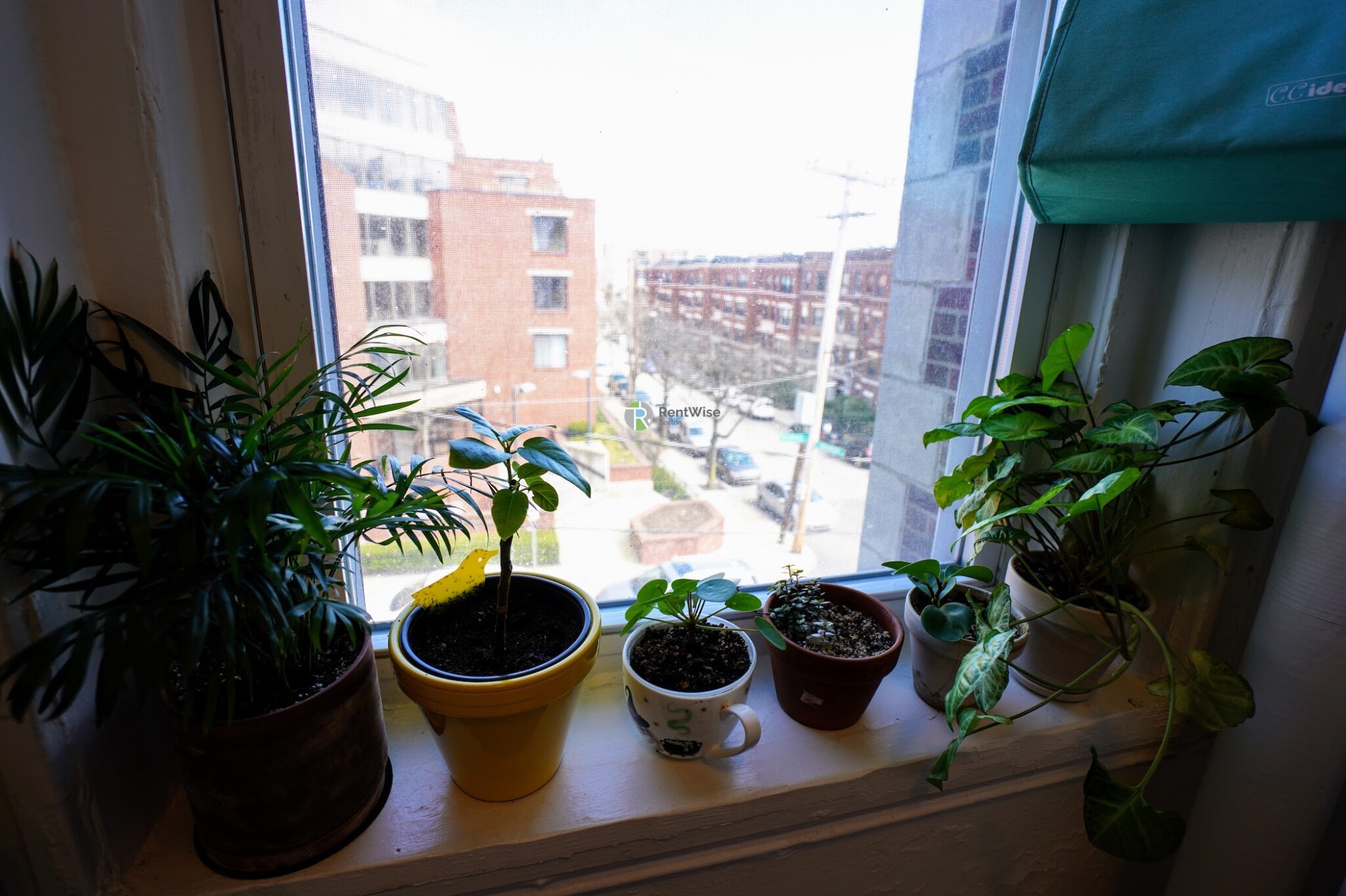 99 Brainerd Rd, Allston