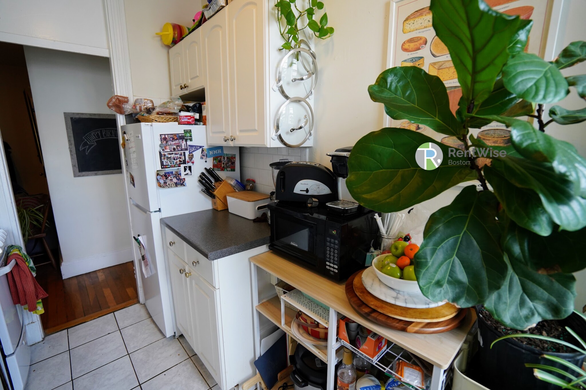 15 Carol Ave, Brighton