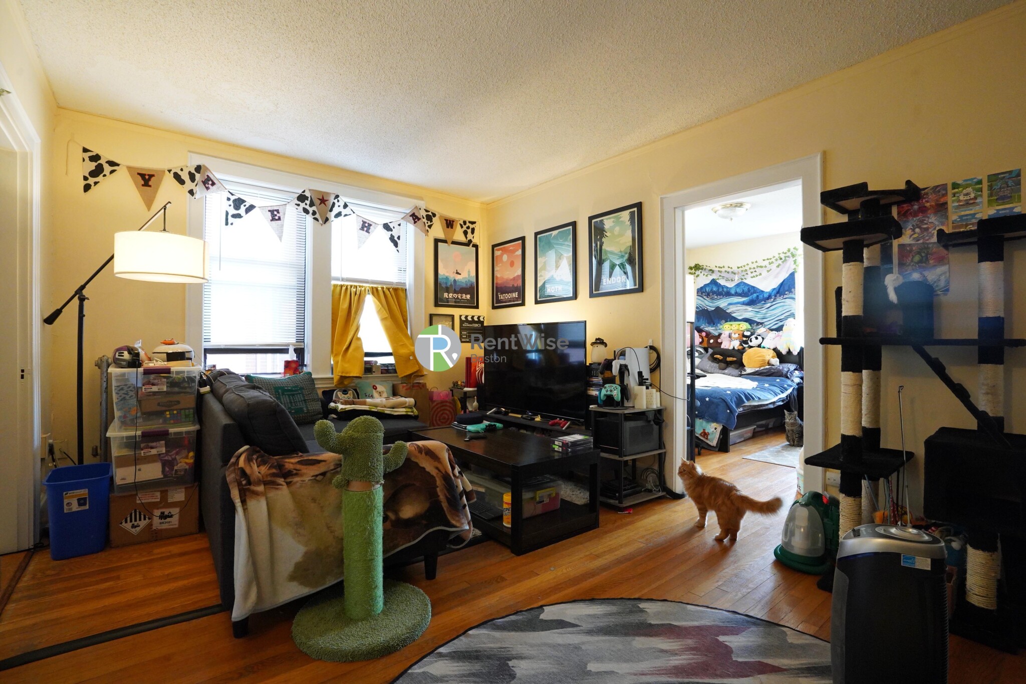 431 Broadway, Winter Hill