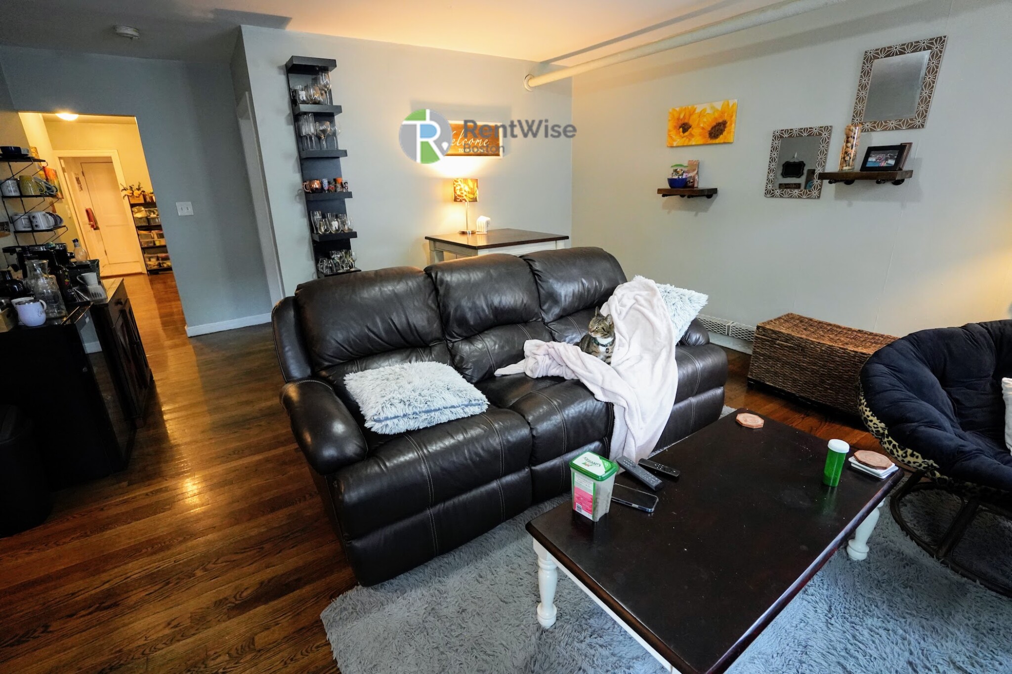 45 Carlton St, Coolidge Corner