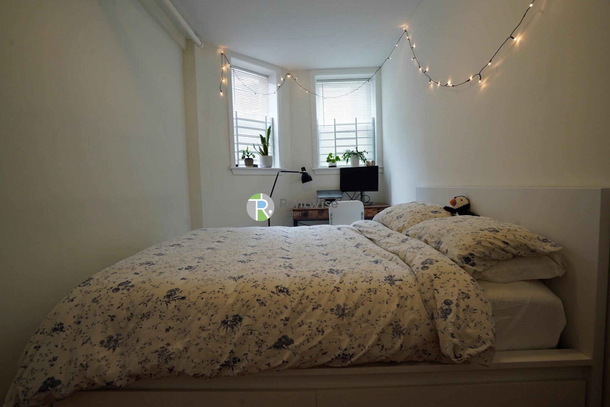 6 Orkney Rd, Brighton