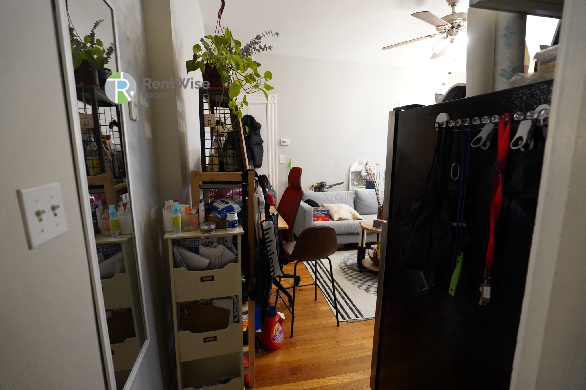 26 Jfk St, Harvard Square