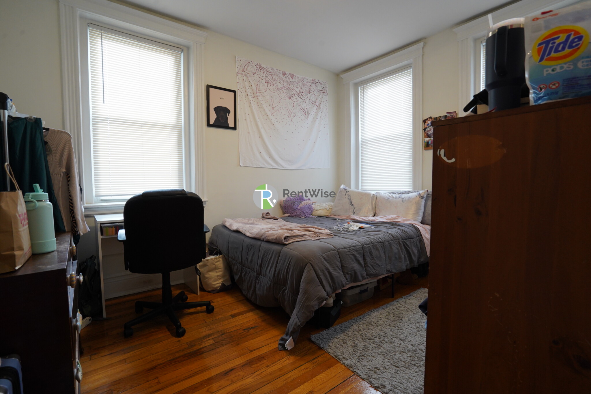 6 Camelot Ct, Brighton