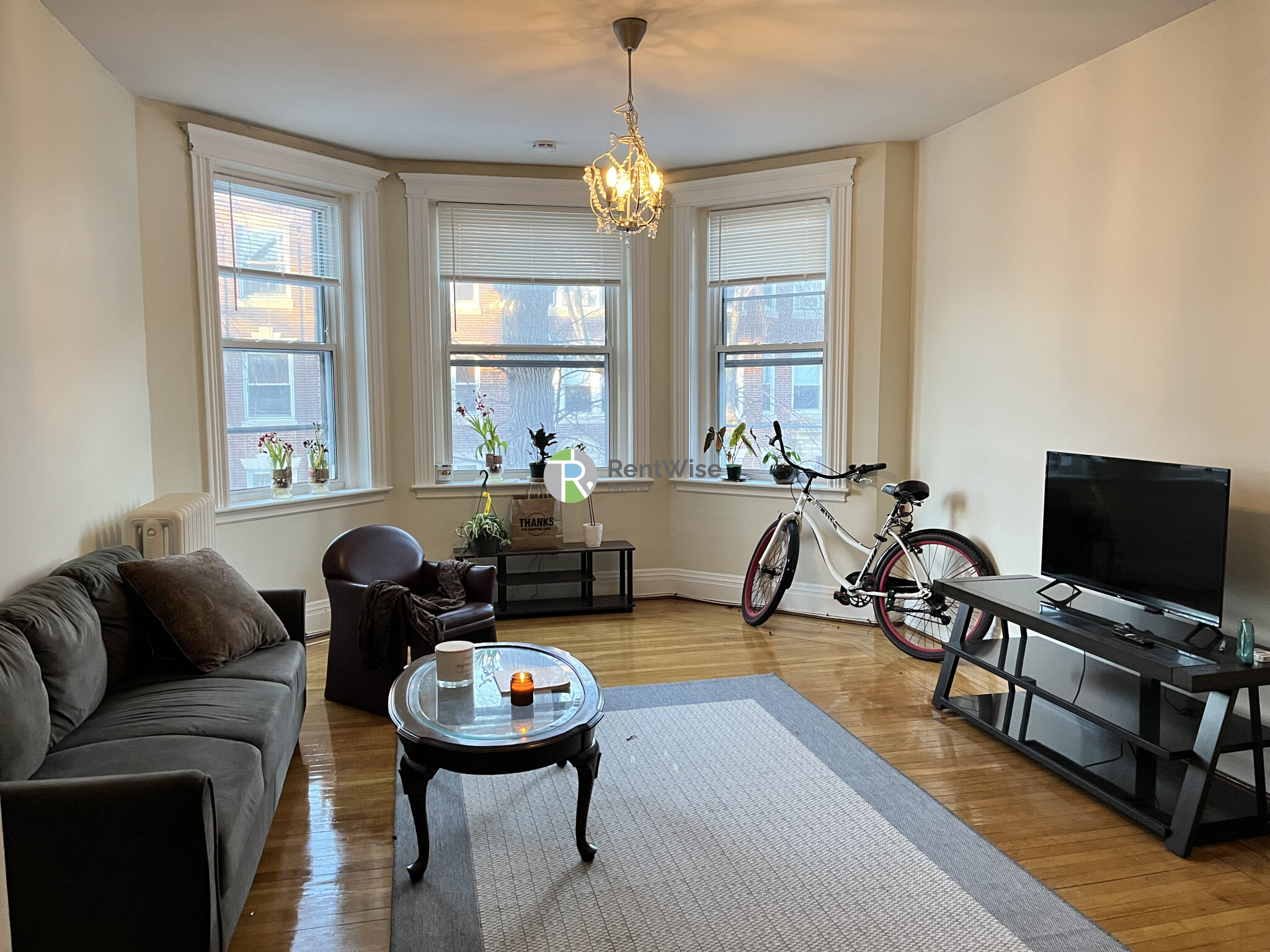 22 Euston St, Longwood