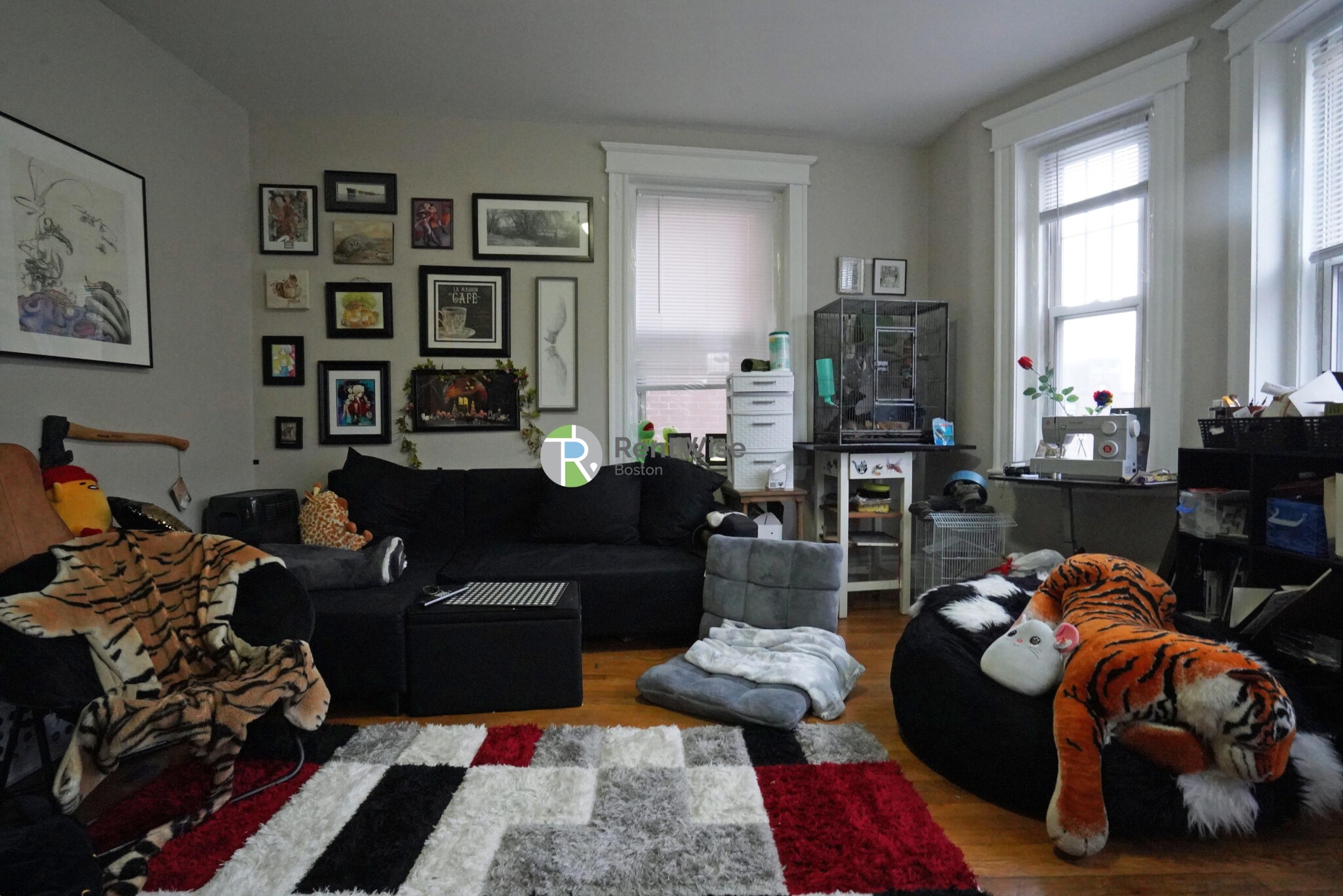 3 Lorraine Ter, Allston