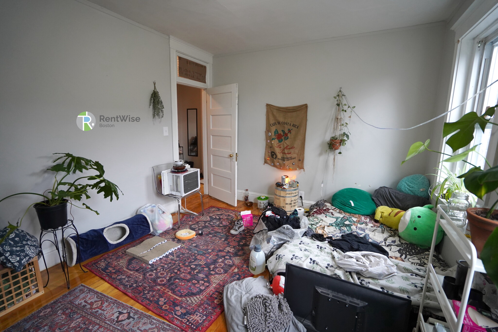 218 South St, Jamaica Plain