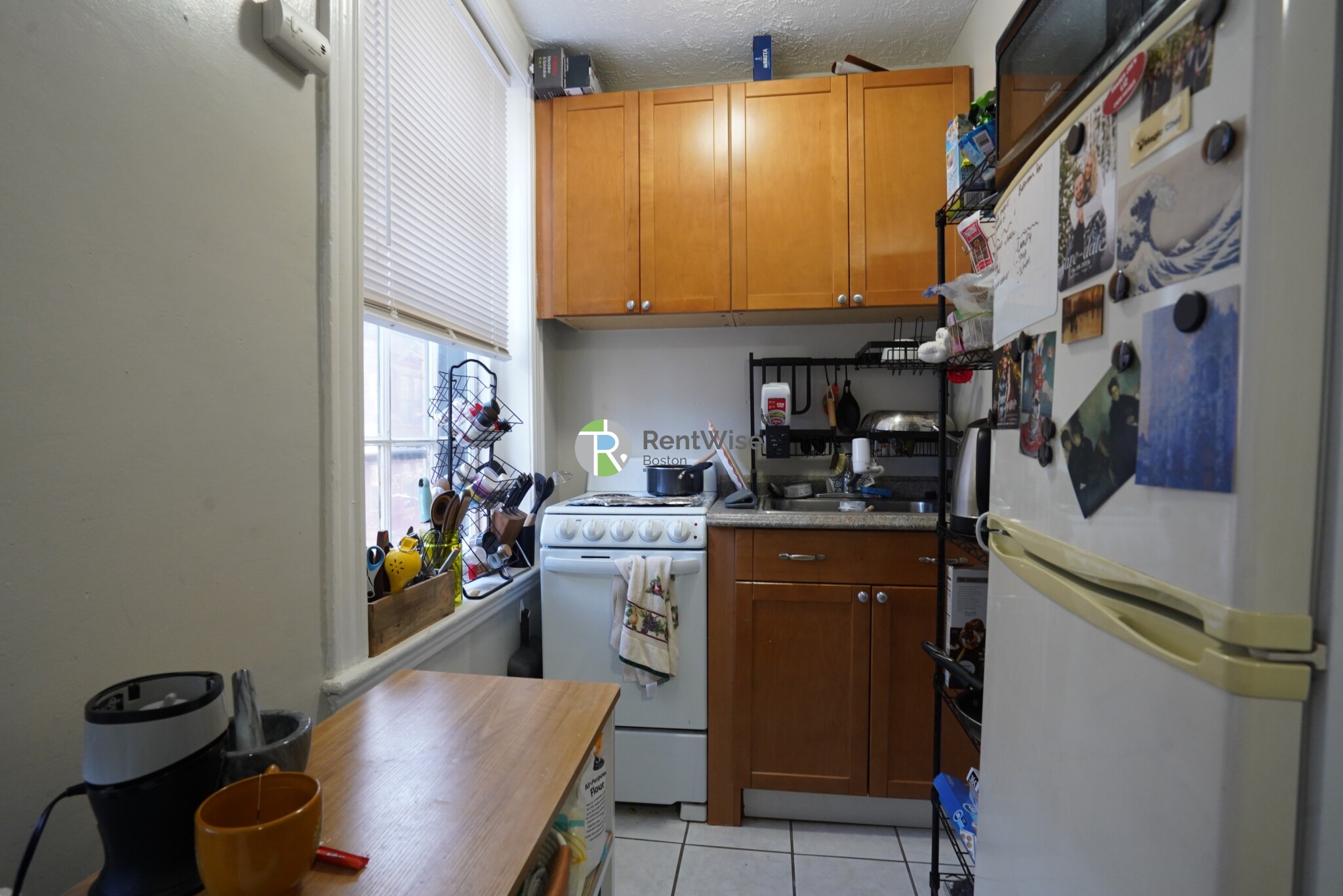 41 Anderson St, Beacon Hill