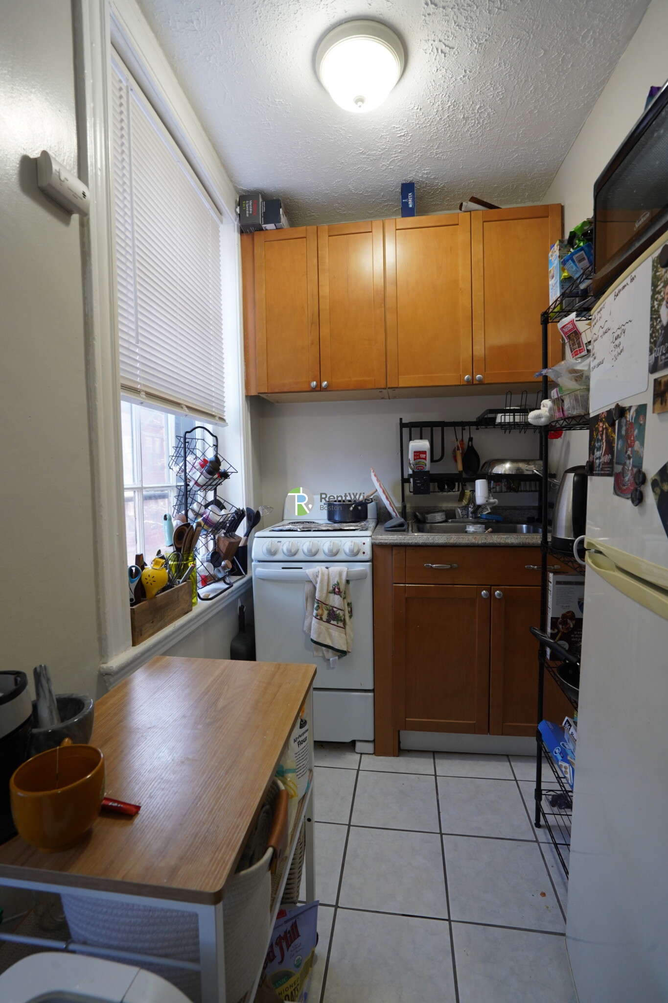 41 Anderson St, Beacon Hill