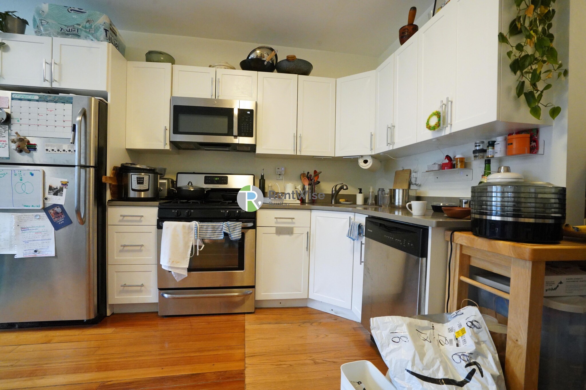 83 Harvard St, Central Village