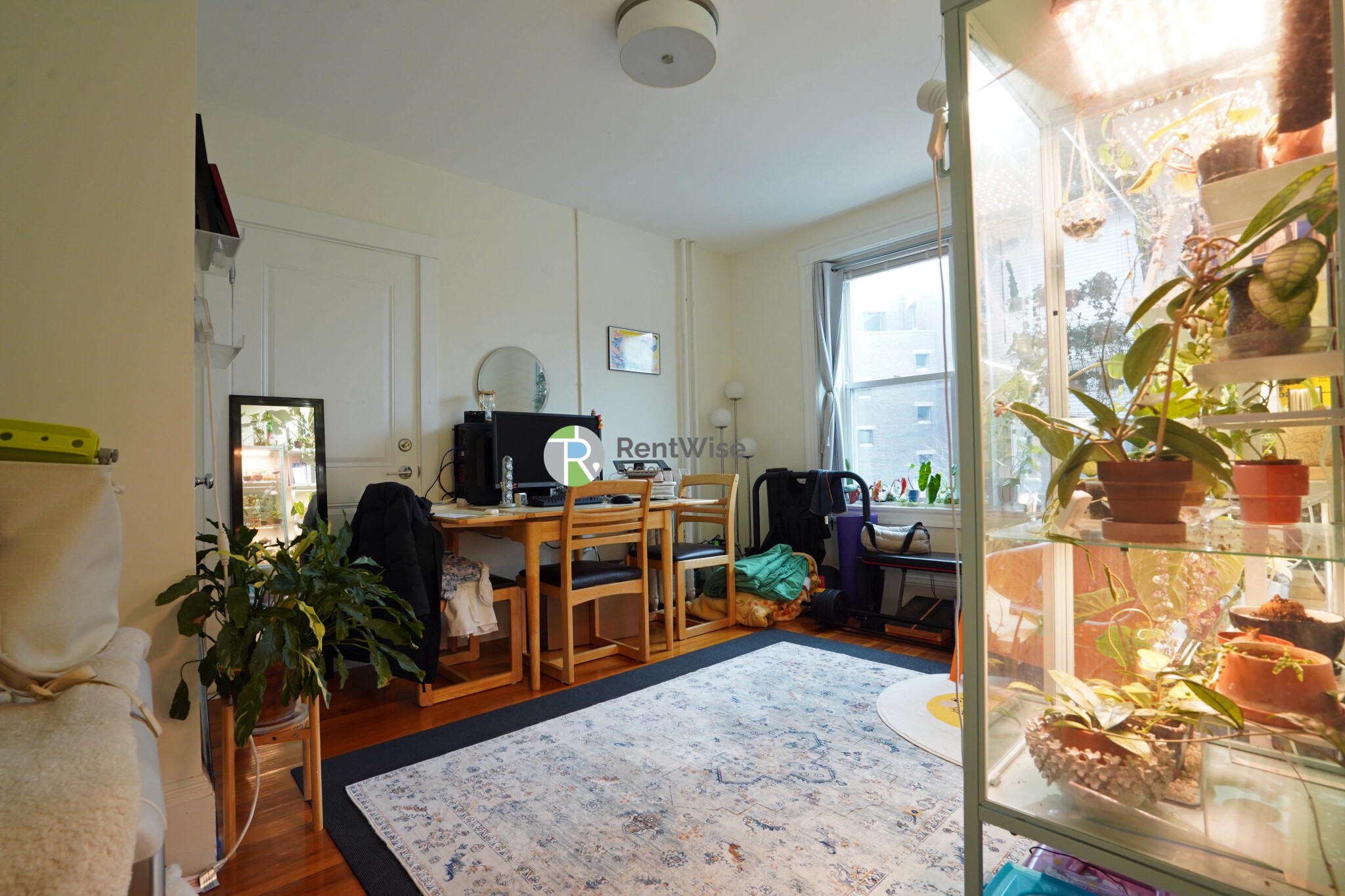 83 Harvard St, Central Village